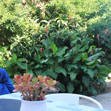 Casa Dos Avós Pedralva