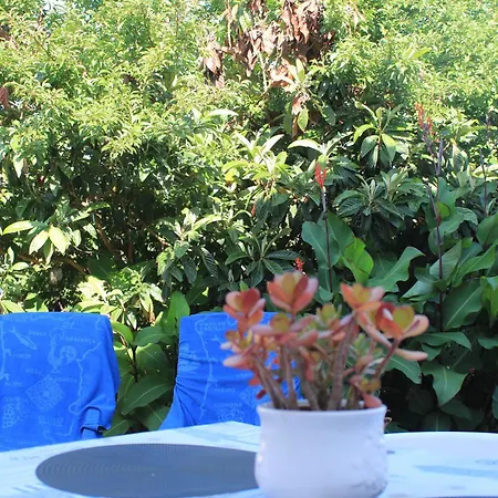 Privatunterkunft Blue Pedralva
